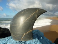 /album/galerie-de-photos/aloha-jpg/